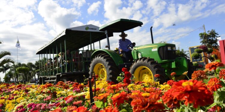 Tecnoshow Comigo 2023 terá 70 mil mudas de flores e plantas variadas