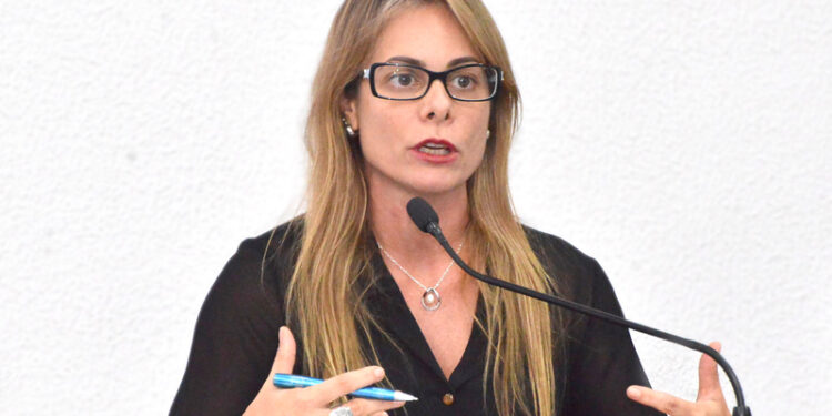 Cristiane Schmidt deixa o comando da Secretaria da Economia de Goiás