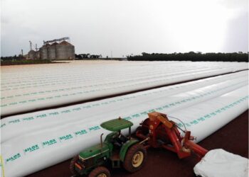 Acompanhamento técnico é aliado para evitar prejuízos no campo