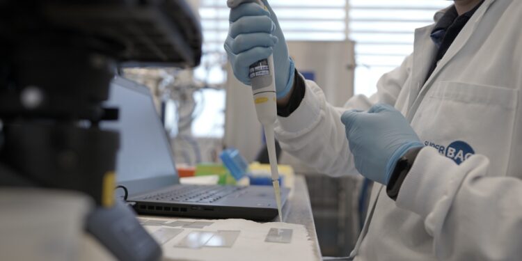 Biotecnologia impulsiona adoção da agricultura regenerativa