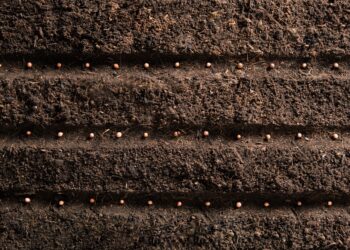 FertiSystem lança sensor de plantio para sementes graúdas durante a Agrishow