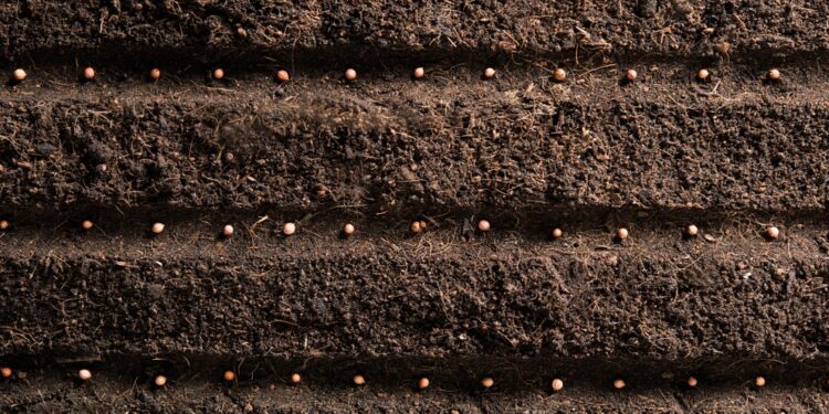 FertiSystem lança sensor de plantio para sementes graúdas durante a Agrishow