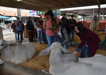 SGPA espera movimentar R$50 milhões em negócios com Pecuária de Goiânia