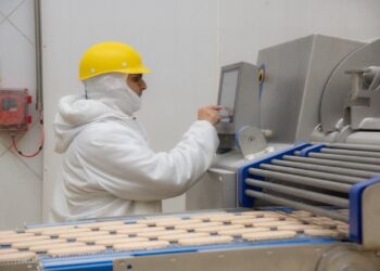 SSA investe R$ 220 milhões em fábrica de processados em Itaberaí