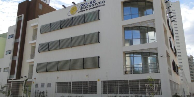 Capacitacoop oferece vagas gratuitas para mais de 120 cursos a distância