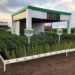 Soja livre de transgênicos é pauta de evento na Alemanha; Brasil produz quase um milhão de hectares