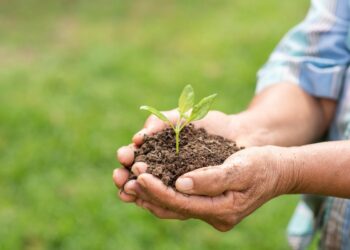 O Agronegócio Brasileiro – Terra, Humildade e a Subsistência Humana