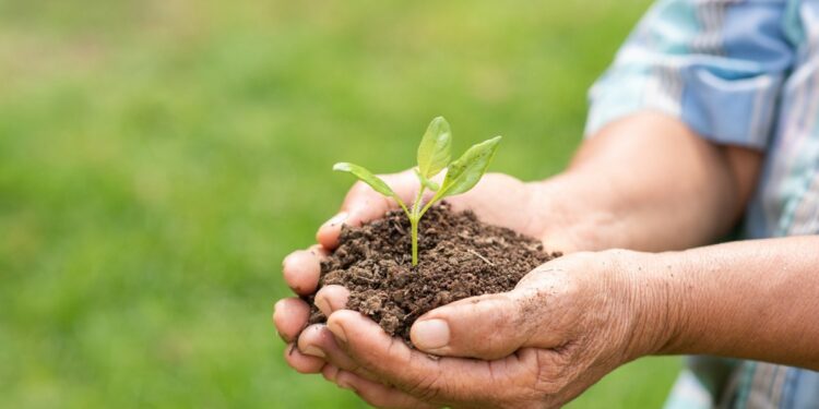 O Agronegócio Brasileiro – Terra, Humildade e a Subsistência Humana