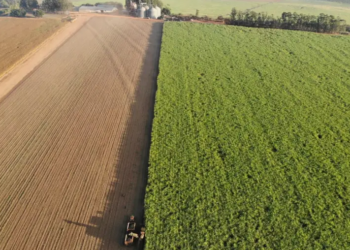BrasilAgro vende a Fazenda Araucária (GO) por R$ 417,8 milhões
