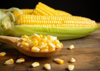 Dia Nacional do Milho: cereal tem relevância econômica e traz benefícios na alimentação