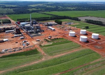 Nardini Agroindustrial investe cerca de R$ 800 mi em unidade de Aporé (GO)