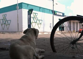 Sicoob UniCentro Norte Brasileiro transforma realidade de Santa Rosa de Goiás