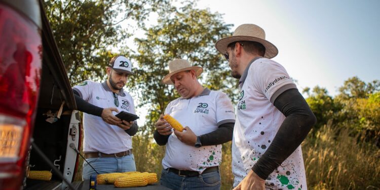 ‘Rally da Safra’ avalia lavouras de milho no sudoeste goiano