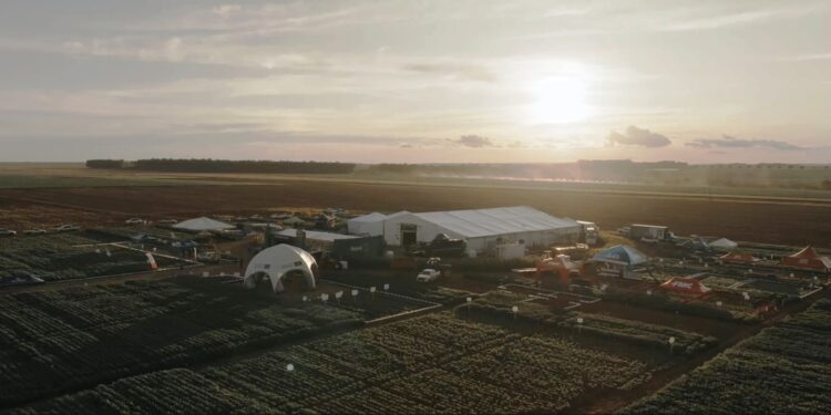 G.A. Tec Algodão, em MT, leva  produtores para imersão na cultura