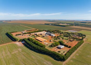 Sementeira de Mato Grosso é a única do segmento no ranking agro de médias empresas do GPTW