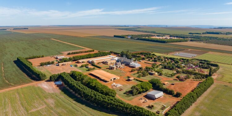 Sementeira de Mato Grosso é a única do segmento no ranking agro de médias empresas do GPTW