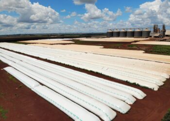 Armazenagem da produção deve entrar em pauta antes mesmo do plantio