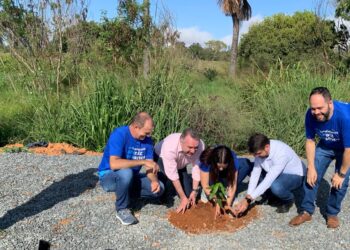 Bela Vista (GO) terá praça em homenagem à cultura da cooperação