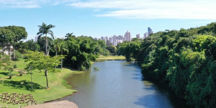 Dia C GO 2023 será celebrado no sábado, no Jardim Botânico