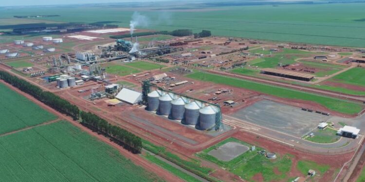 CerradinhoBio finaliza expansão da planta de milho em Chapadão do Céu (GO)