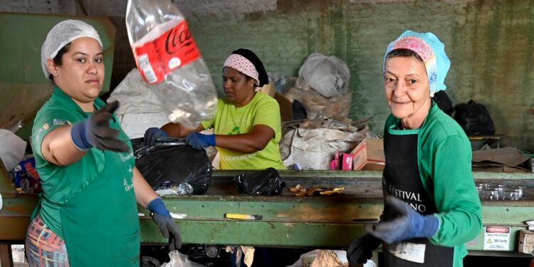 Lixo reciclável é o ouro da modernidade