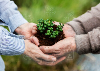 O que é a CPR-Verde?