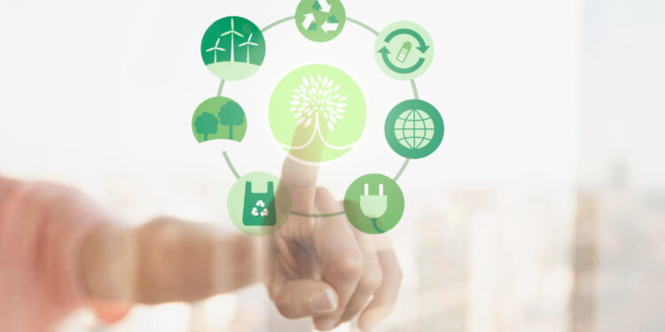 Rizzo Energia aposta em soluções em energia renovável para o mercado