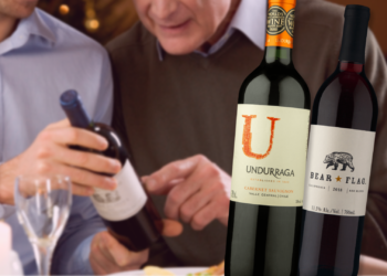 Dicas de vinhos de até R$ 100 para cada estilo de pai