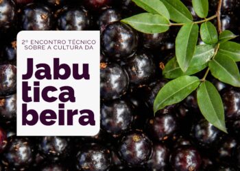 Emater realiza 2º Encontro Técnico sobre a cultura da jabuticabeira em Hidrolândia (GO)
