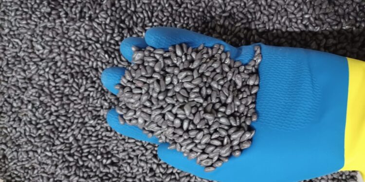 FMC e Girassol Agrícola disponibilizam tecnologia inédita aos cotonicultores