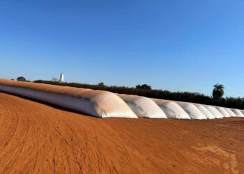 Venda recorde de silo-bolsa ajuda a amenizar o déficit de armazenamento no Brasil