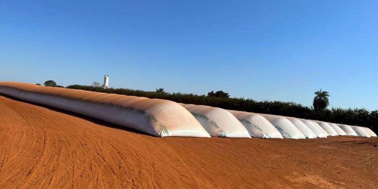 Venda recorde de silo-bolsa ajuda a amenizar o déficit de armazenamento no Brasil