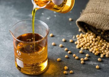 Indústria de óleos vegetais pretende investir R$ 6 bi em 2024