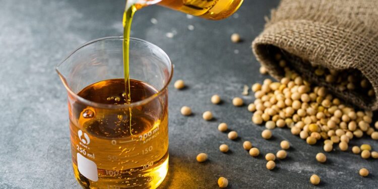 Indústria de óleos vegetais pretende investir R$ 6 bi em 2024