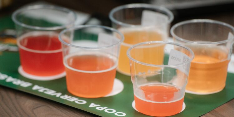 Congresso apresenta desafios e propostas para mercado cervejeiro do Centro-Oeste