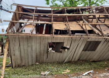 Brasilienses mobilizam redes de contato para ajudar vítimas da tragédia no Sul do País