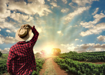 A Crise no Agronegócio e a Recuperação Judicial: Uma das Opções para o Soerguimento do Produtor Rural