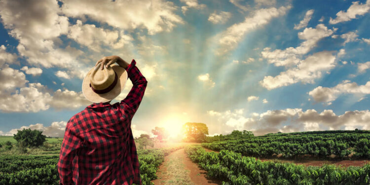 A Crise no Agronegócio e a Recuperação Judicial: Uma das Opções para o Soerguimento do Produtor Rural