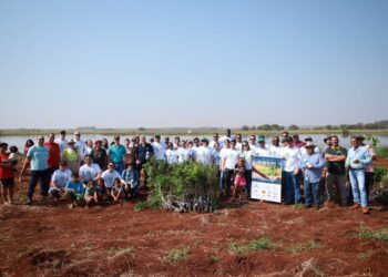 Cerradinho Bioenergia apoia o plantio de mudas no Centro-Oeste em comemoração ao Dia da Árvore