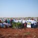Cerradinho Bioenergia apoia o plantio de mudas no Centro-Oeste em comemoração ao Dia da Árvore