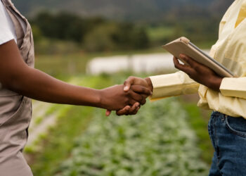 Cooperativas agrícolas e pecuárias: Uma solução para enfrentar a crise no agronegócio