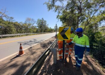 Ecovias do Araguaia realiza retirada vegetal e implantação de sinalização vertical definitiva nas BRs-153, 414 e 080