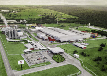 Grupo Petrópolis tem cerca de 600 vagas de emprego