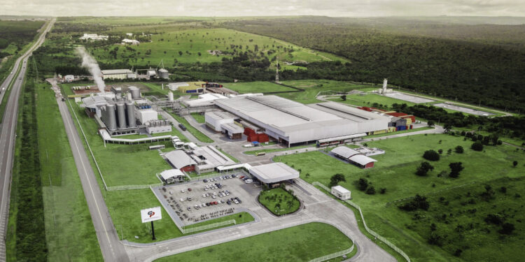 Grupo Petrópolis tem cerca de 600 vagas de emprego