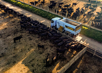 Novo equipamento alia eficiência na pecuária à proteção do solo