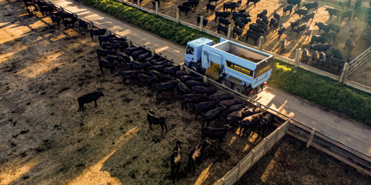 Novo equipamento alia eficiência na pecuária à proteção do solo