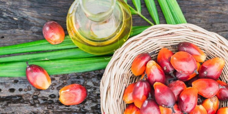 Agropalma lança gordura em escama para indústrias de alimentos, cosméticos e materiais escolares