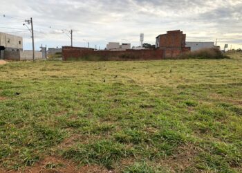 Projeto Zelar, da Rizzo Imobiliária, realiza a manutenção de loteamentos após a entrega para proprietários