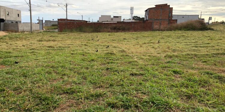 Projeto Zelar, da Rizzo Imobiliária, realiza a manutenção de loteamentos após a entrega para proprietários
