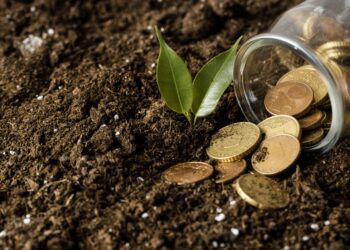 Goiás tem 14 municípios entre os 100 mais ricos em agronegócio do Brasil